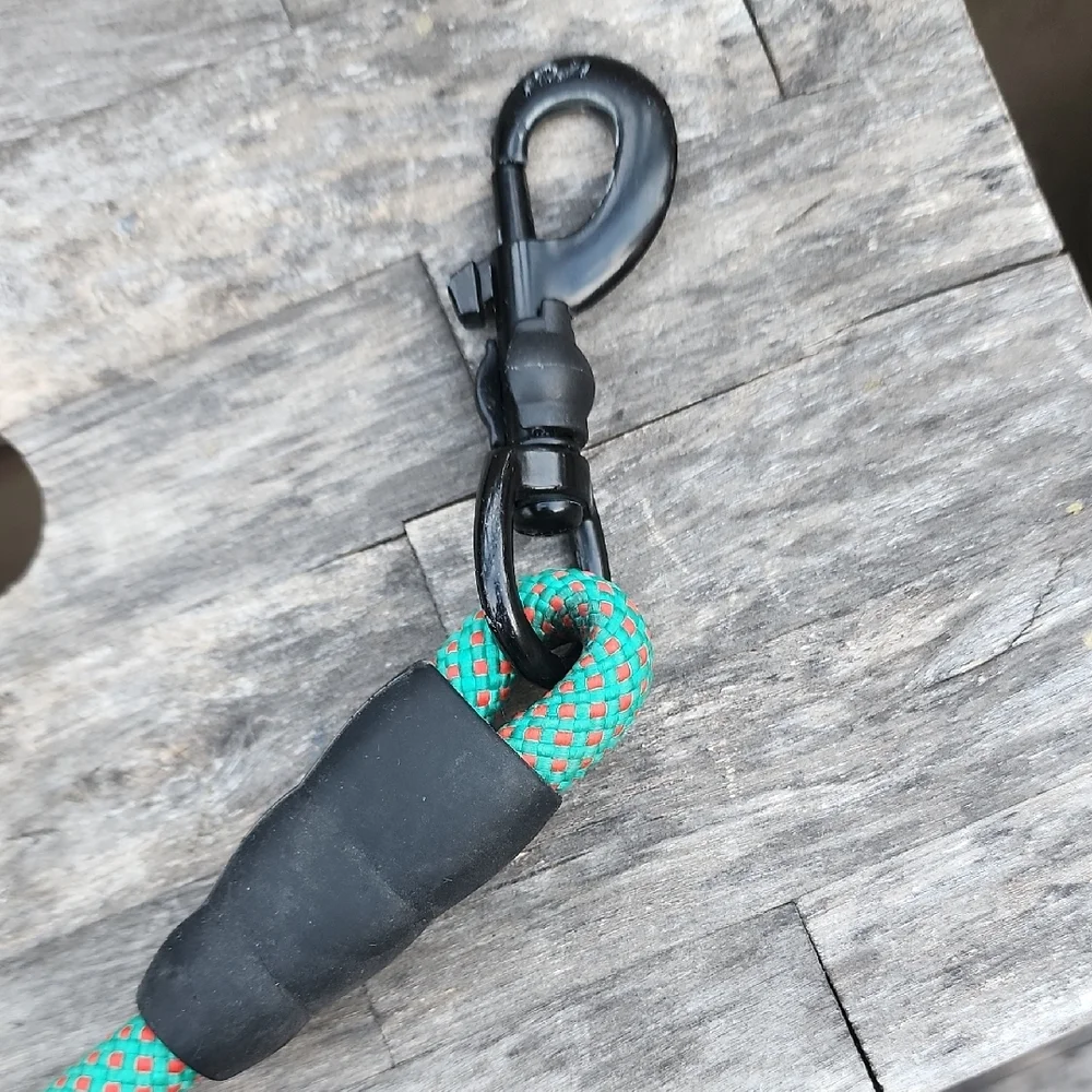 Dog Leash Green